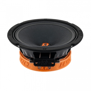 Среднечастотный динамик DL Audio Raven 165 V.2