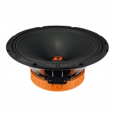 DL Audio Raven 250 V.2