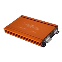 DL Audio Barracuda 4.100 V.2 24V