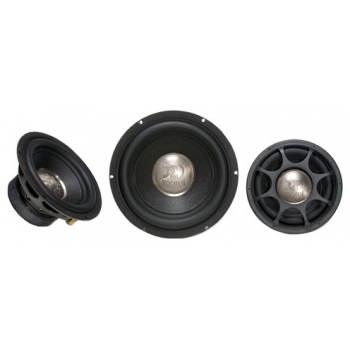Morel Primo 804