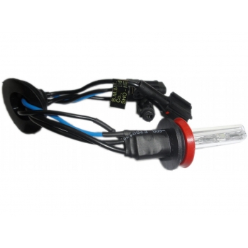 Sho-Me H16 5000k